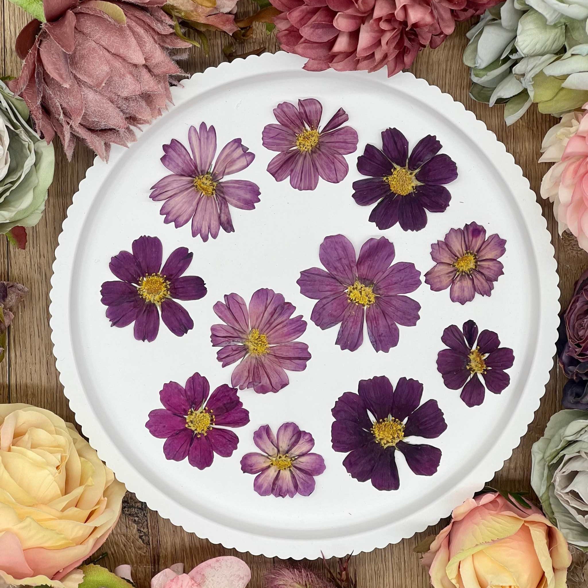 Handgetrocknete, naturbelassene Blumen und Blüten, ideal für Resin Art, Bastelprojekte oder Dekoration. Lebendige Farben für kreative Anwendungen in Kunst und Design. Sorgfältig getrocknete Blüten in strahlenden Farben.
