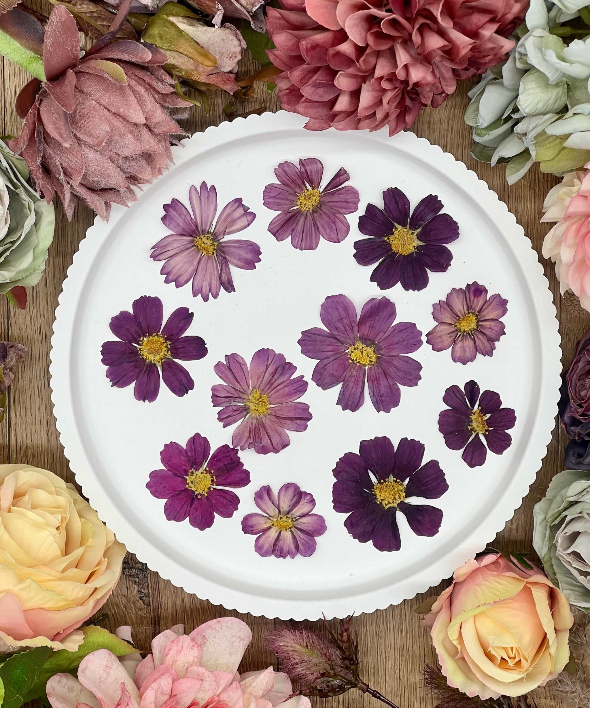 Handgetrocknete, naturbelassene Blumen und Blüten, ideal für Resin Art, Bastelprojekte oder Dekoration. Lebendige Farben für kreative Anwendungen in Kunst und Design. Sorgfältig getrocknete Blüten in strahlenden Farben.
