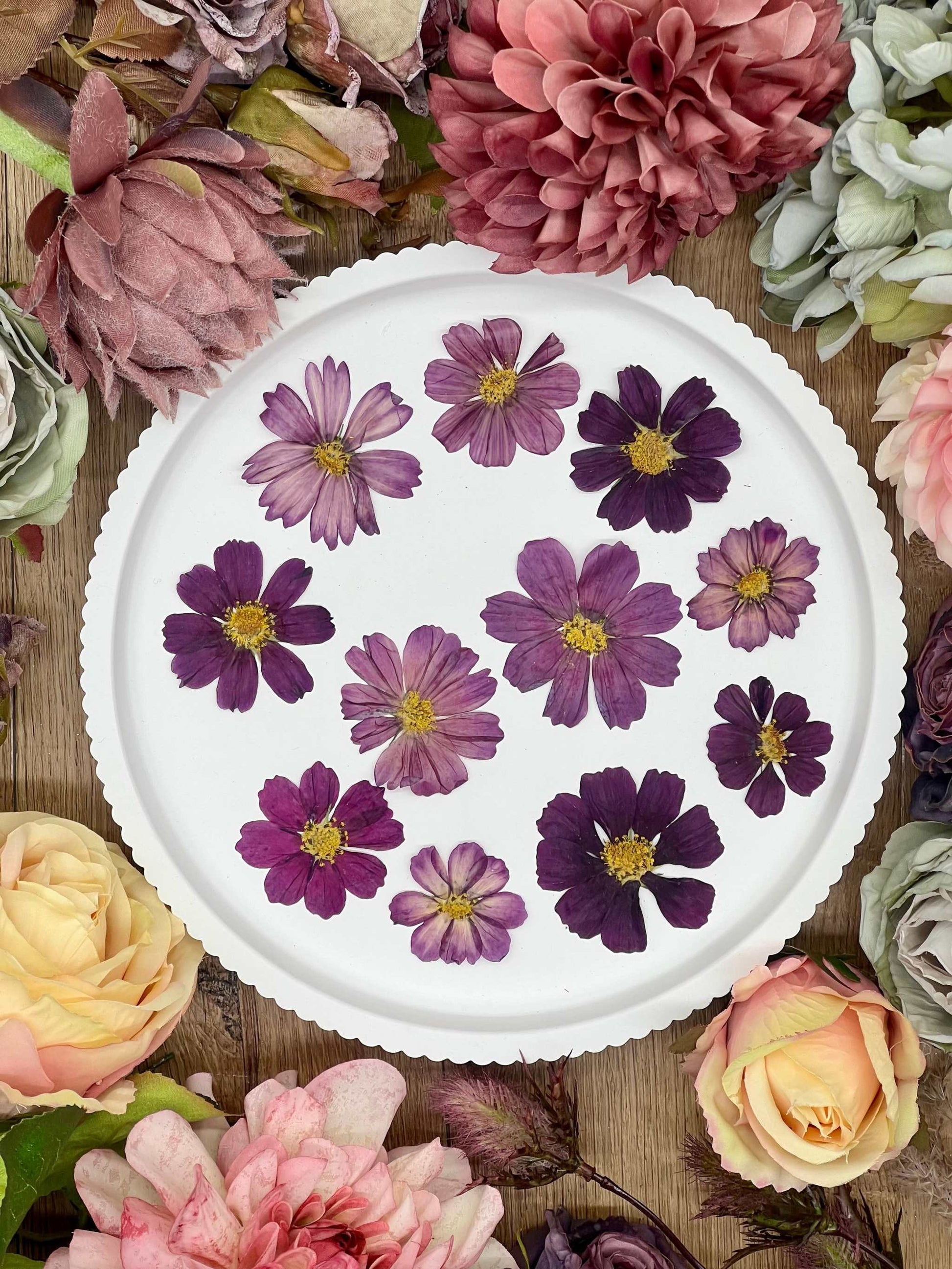 Handgetrocknete, naturbelassene Blumen und Blüten, ideal für Resin Art, Bastelprojekte oder Dekoration. Lebendige Farben für kreative Anwendungen in Kunst und Design. Sorgfältig getrocknete Blüten in strahlenden Farben.

