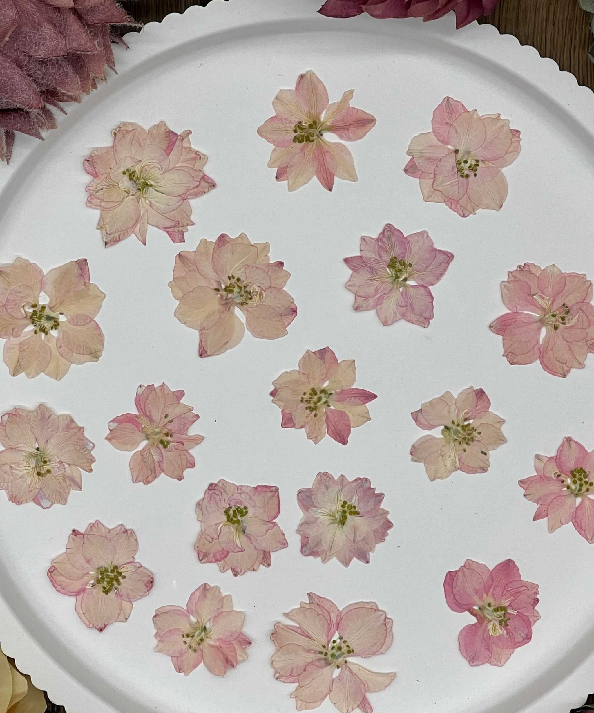 Elegante Verpackung mit handverlesenen, getrockneten Blumen und Blüten, bereit für kreative Projekte und Resin Art.
Wunderschön präsentierte Blumen in dekorativer Verpackung, ideal für Bastelprojekte, Hochzeitsdekoration oder als Geschenk.