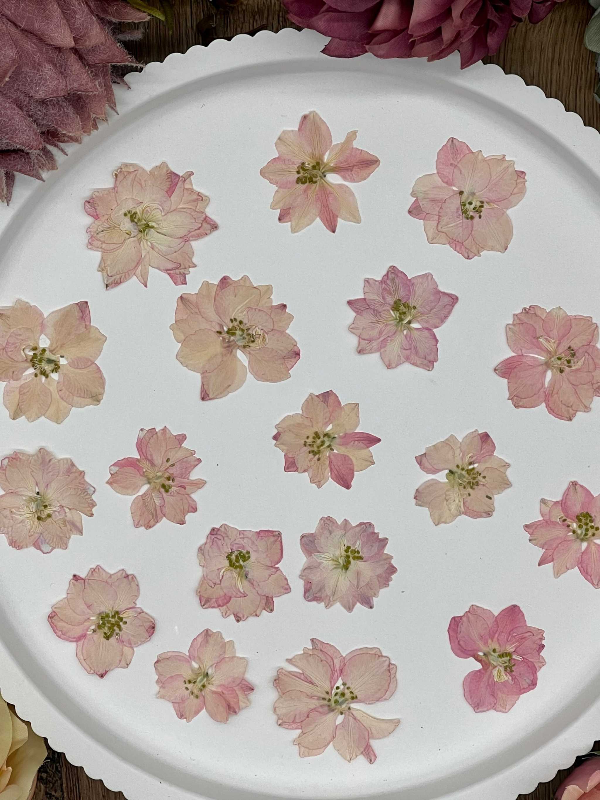 Elegante Verpackung mit handverlesenen, getrockneten Blumen und Blüten, bereit für kreative Projekte und Resin Art.
Wunderschön präsentierte Blumen in dekorativer Verpackung, ideal für Bastelprojekte, Hochzeitsdekoration oder als Geschenk.