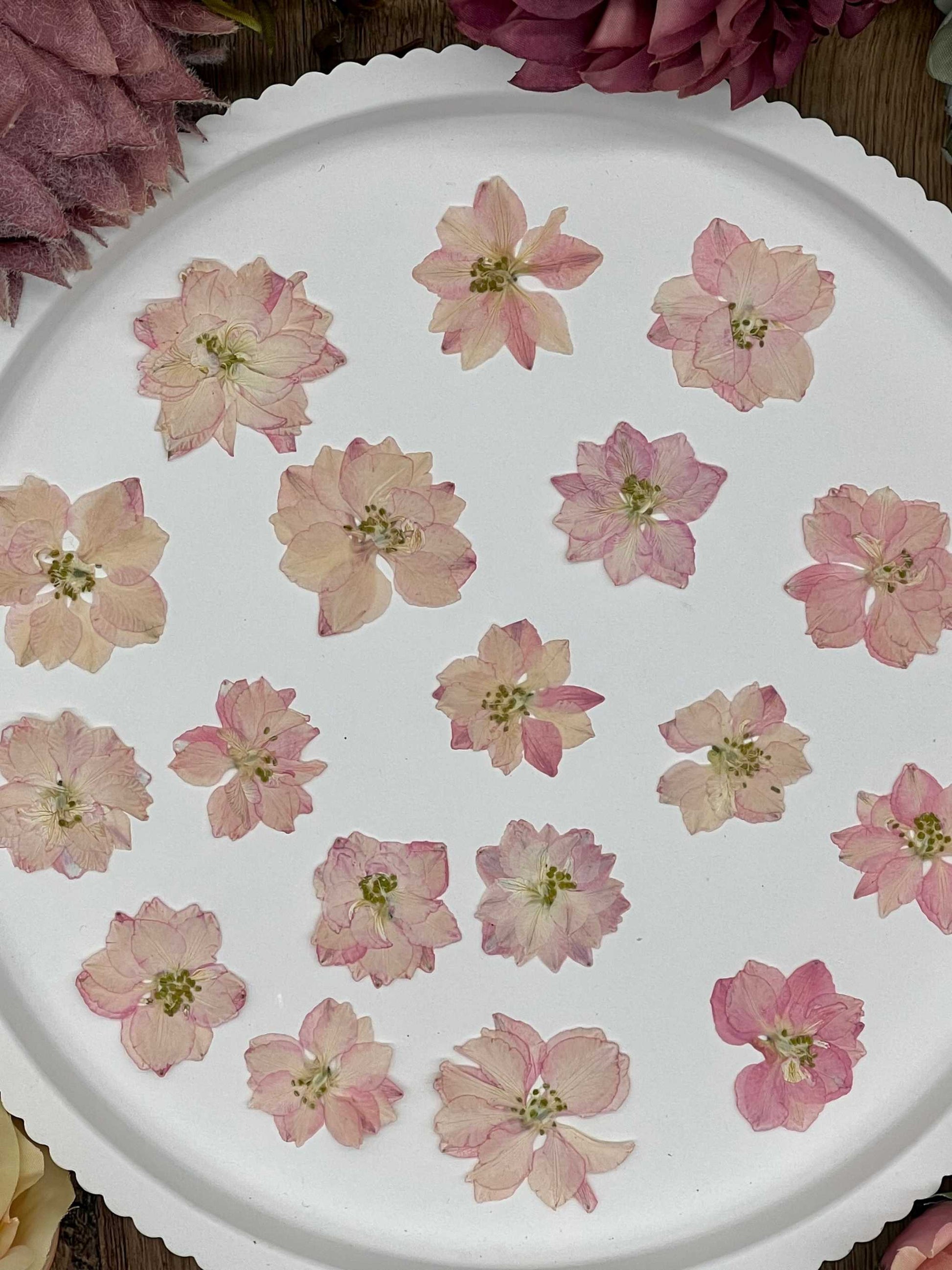 Elegante Verpackung mit handverlesenen, getrockneten Blumen und Blüten, bereit für kreative Projekte und Resin Art.
Wunderschön präsentierte Blumen in dekorativer Verpackung, ideal für Bastelprojekte, Hochzeitsdekoration oder als Geschenk.