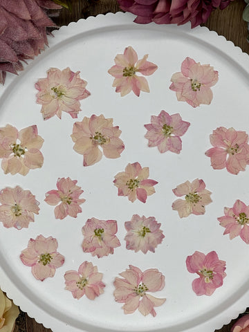 12 getrocknete Larkspur Blüten in rosa