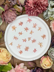 Getrocknete Blumen – 12 handgepresste Rhododendron Blüten in zartem Rosa, ideal für kreative DIY-Projekte, Resin Art und kunstvolle Dekorationen.
