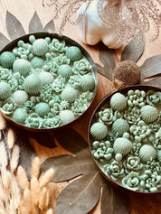 Handgegossene Duftkerze im Glas mit Kaktusmotiv und kleinen Wachskakteen als Deko – ideal als Geschenk oder besonderes Dekostück.