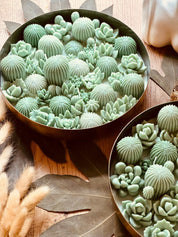 Duftkerze im Glas mit handgefertigtem Kaktusdesign, verziert mit kleinen Wachskakteen – ein einzigartiges Geschenk für Kaktus- und Duftliebhaber.