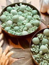 Design Kerze im Metalltablett mit Kakteen Highlight