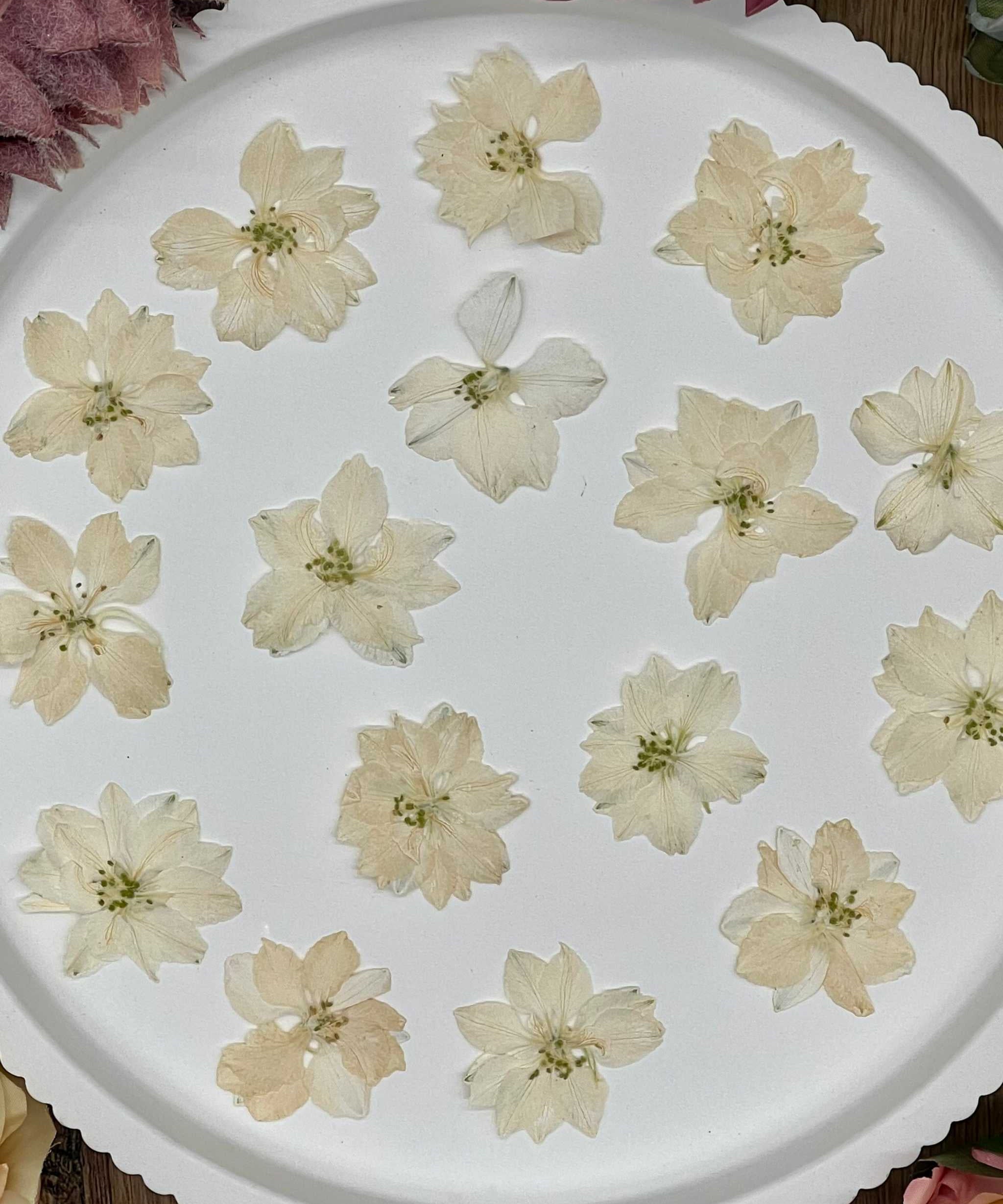 Natürlich getrocknete Larkspur Blüten in Weiß, perfekt für Resin-Kunst, Bastelarbeiten und Scrapbooking. Jede Blüte ist einzigartig & detailreich erhalten.