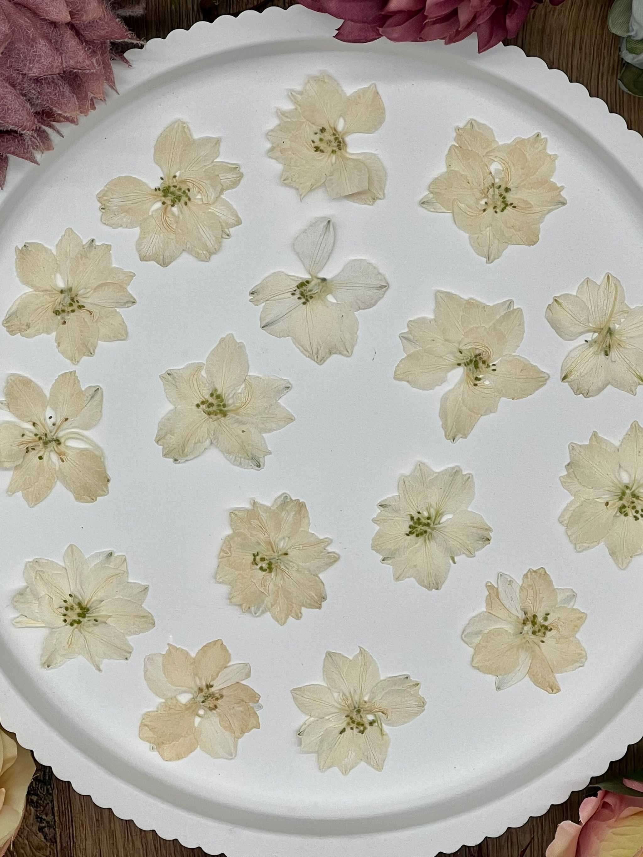 Natürlich getrocknete Larkspur Blüten in Weiß, perfekt für Resin-Kunst, Bastelarbeiten und Scrapbooking. Jede Blüte ist einzigartig & detailreich erhalten.