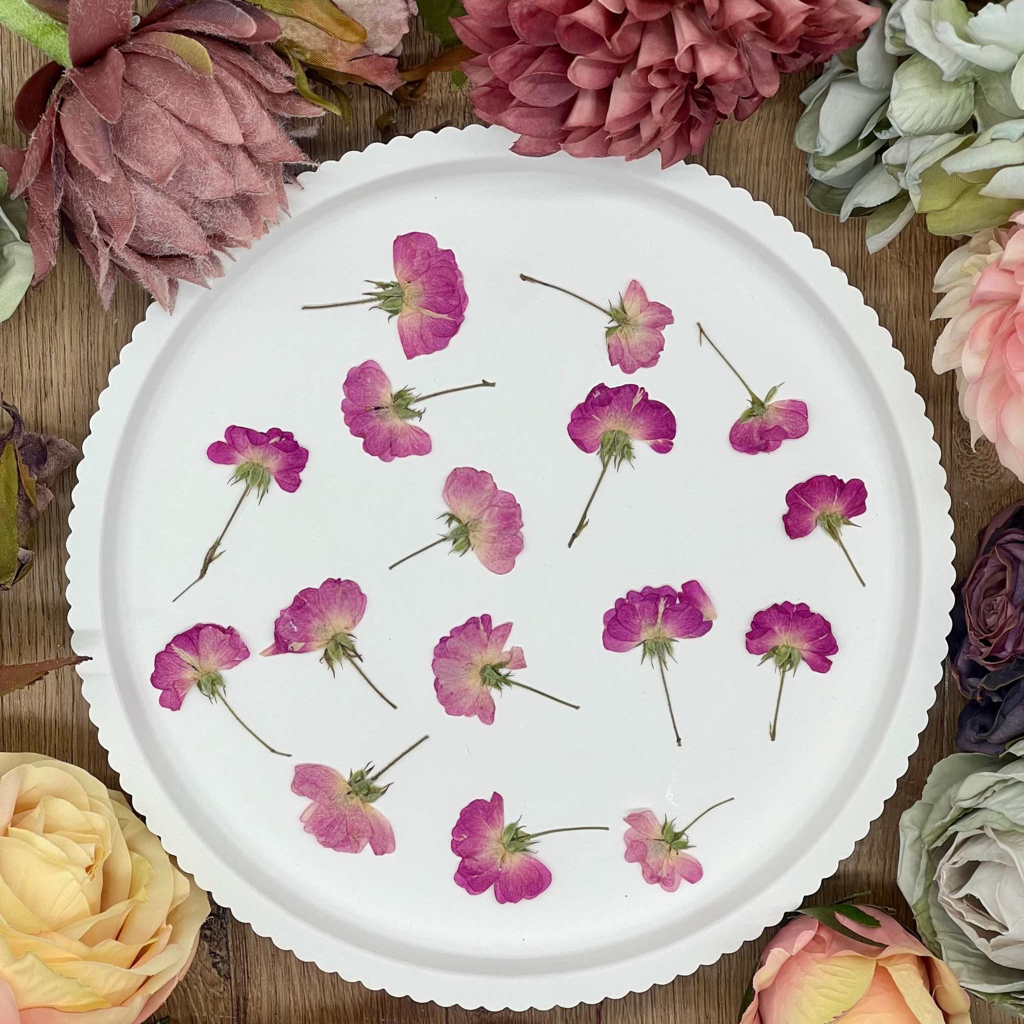 Getrocknete Blumen – 12 handgepresste Rosen in intensivem Rot, perfekt für kreative DIY-Projekte, Resin Art und kunstvolle Dekorationen.