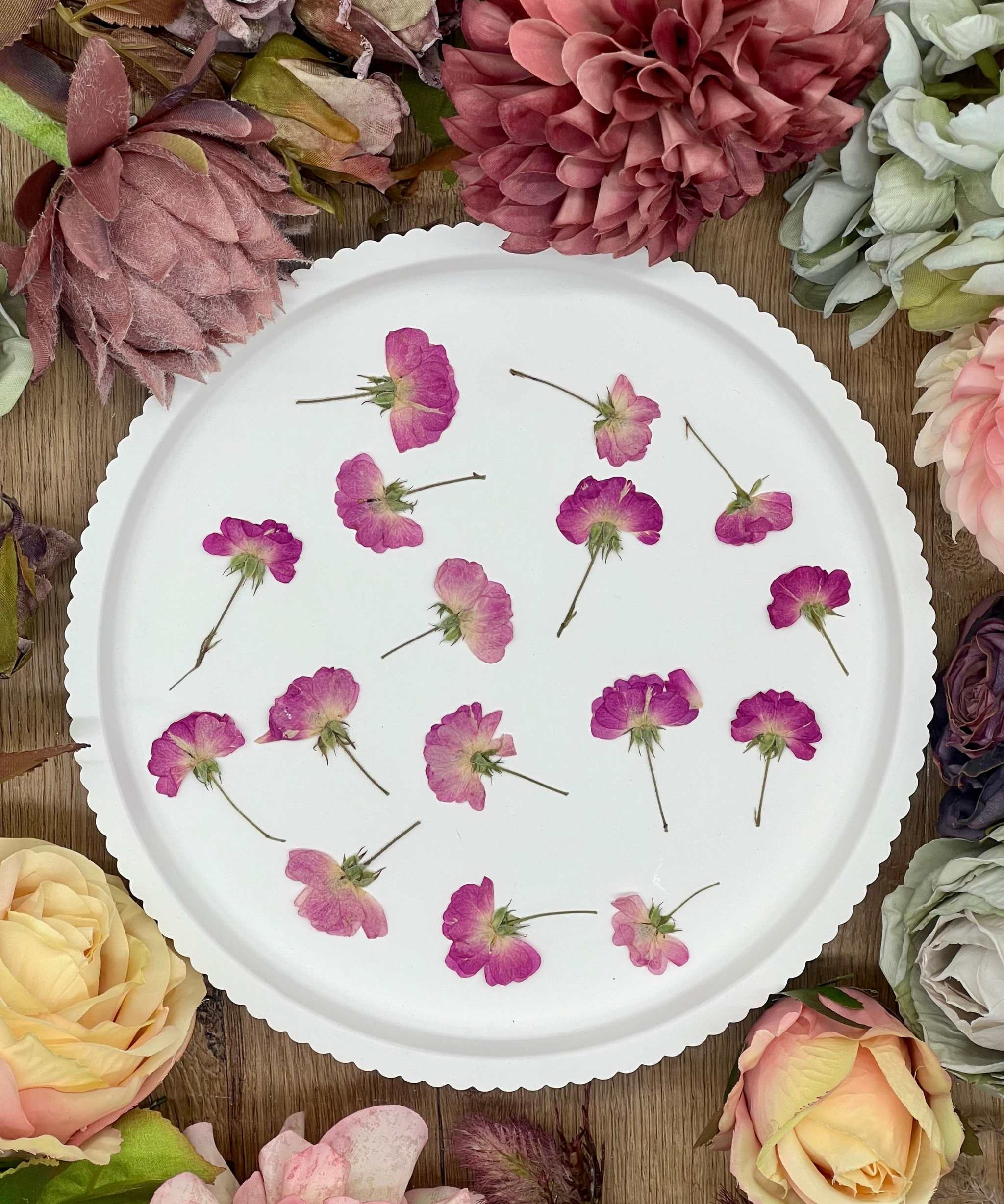 Getrocknete Blumen – 12 handgepresste Rosen in intensivem Rot, perfekt für kreative DIY-Projekte, Resin Art und kunstvolle Dekorationen.