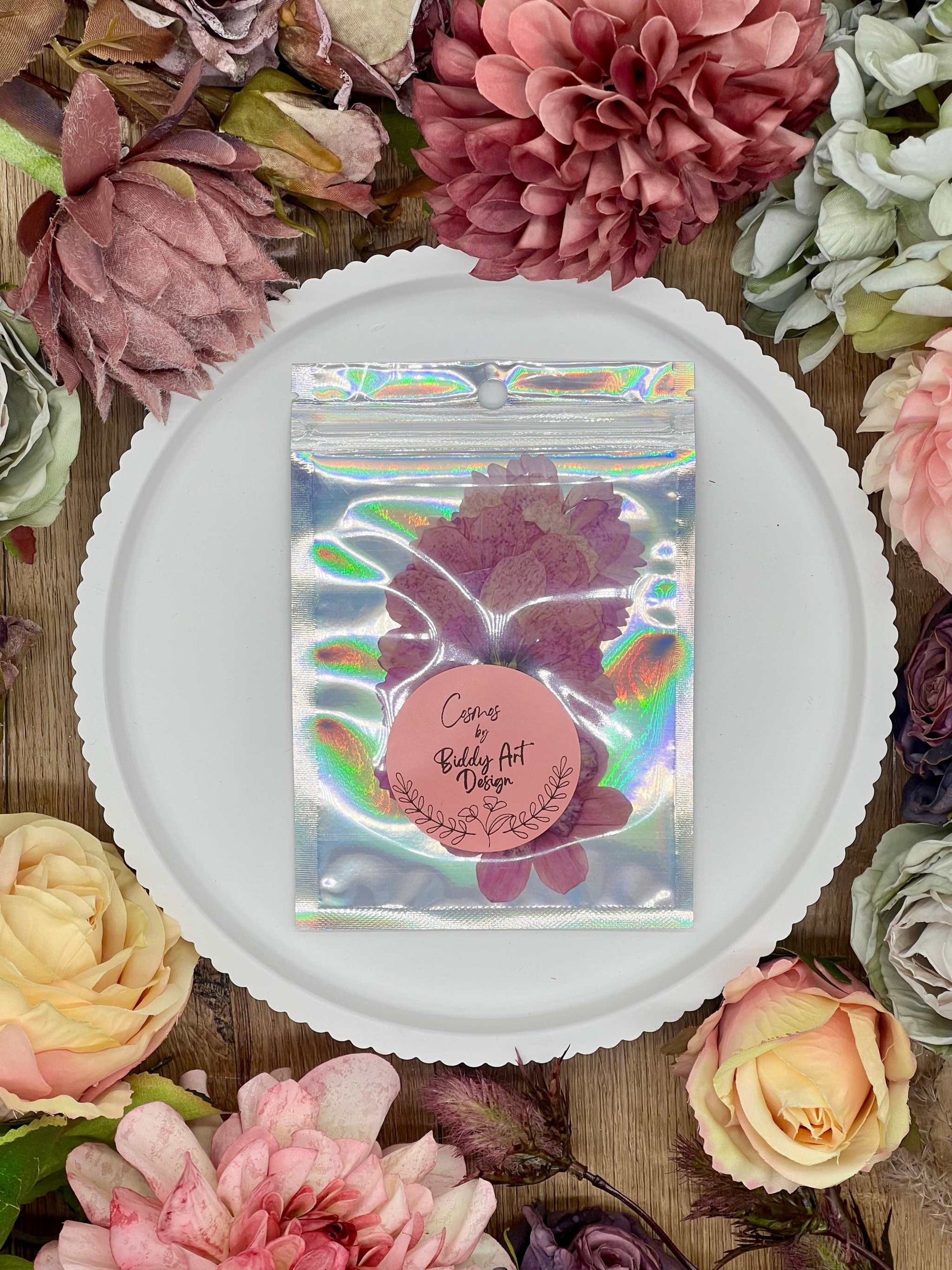 12 gepresste Cosmos Blüten in kräftigem Pink – langlebige Trockenblumen mit feiner Struktur für kreative Designs und Dekoration.