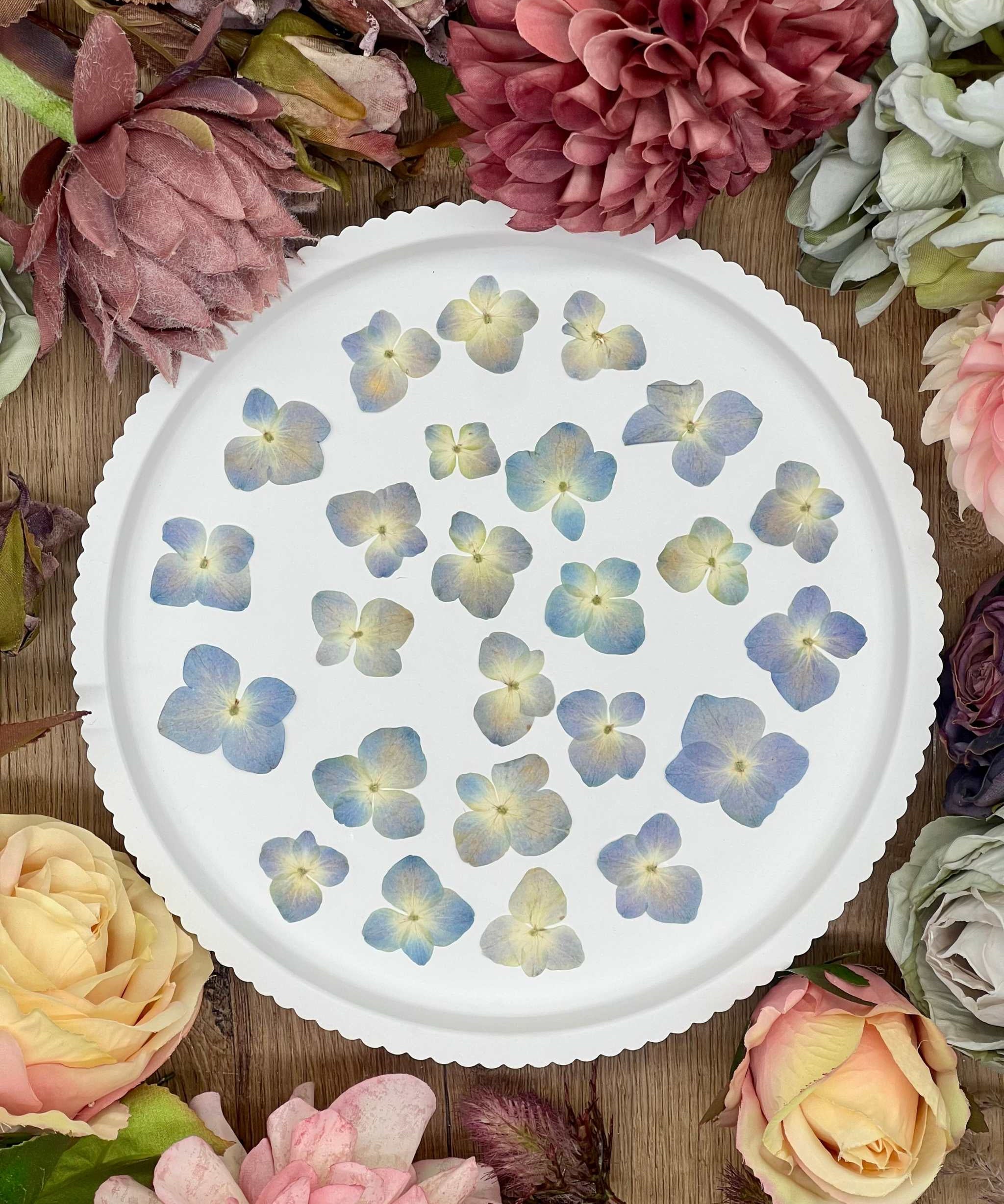 Getrocknete Blumen – 20 handgepresste Hortensien in Mittelblau, ideal für kreative DIY-Projekte, Resin Art und kunstvolle Dekorationen.