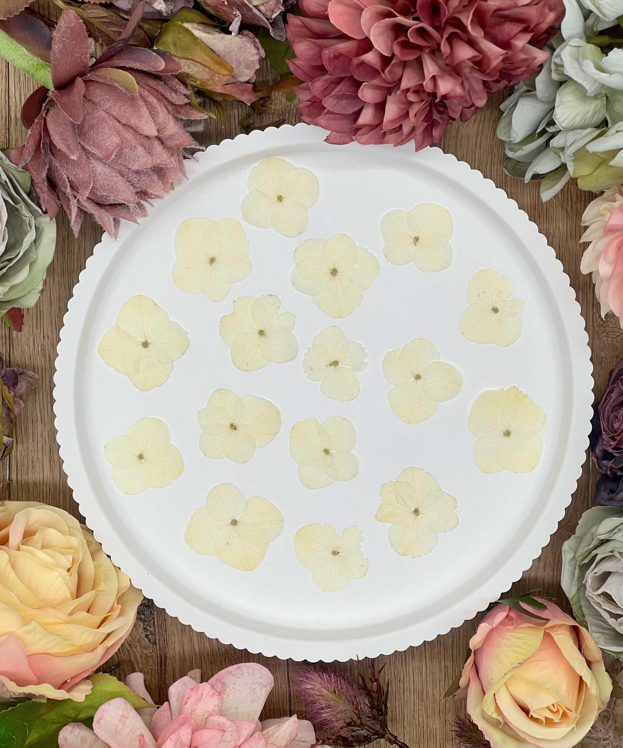 Getrocknete Blumen – 20 handgepresste Hortensien in Naturtönen, perfekt für kreative DIY-Projekte, Resin Art und kunstvolle Dekorationen.
