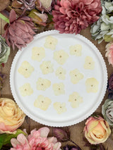 Getrocknete Blumen – 20 getrocknete Hortensien in natur