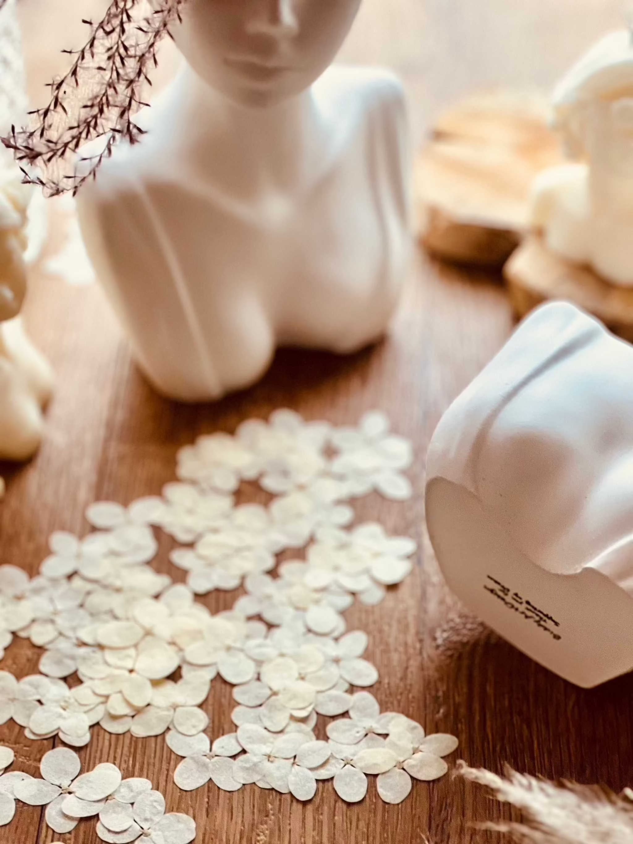 Handcrafted Gießkeramik vase in unique bust design, stylish home accessory.Giesskeramik Vase Buestenform Weisse Deko Beautyful Lady