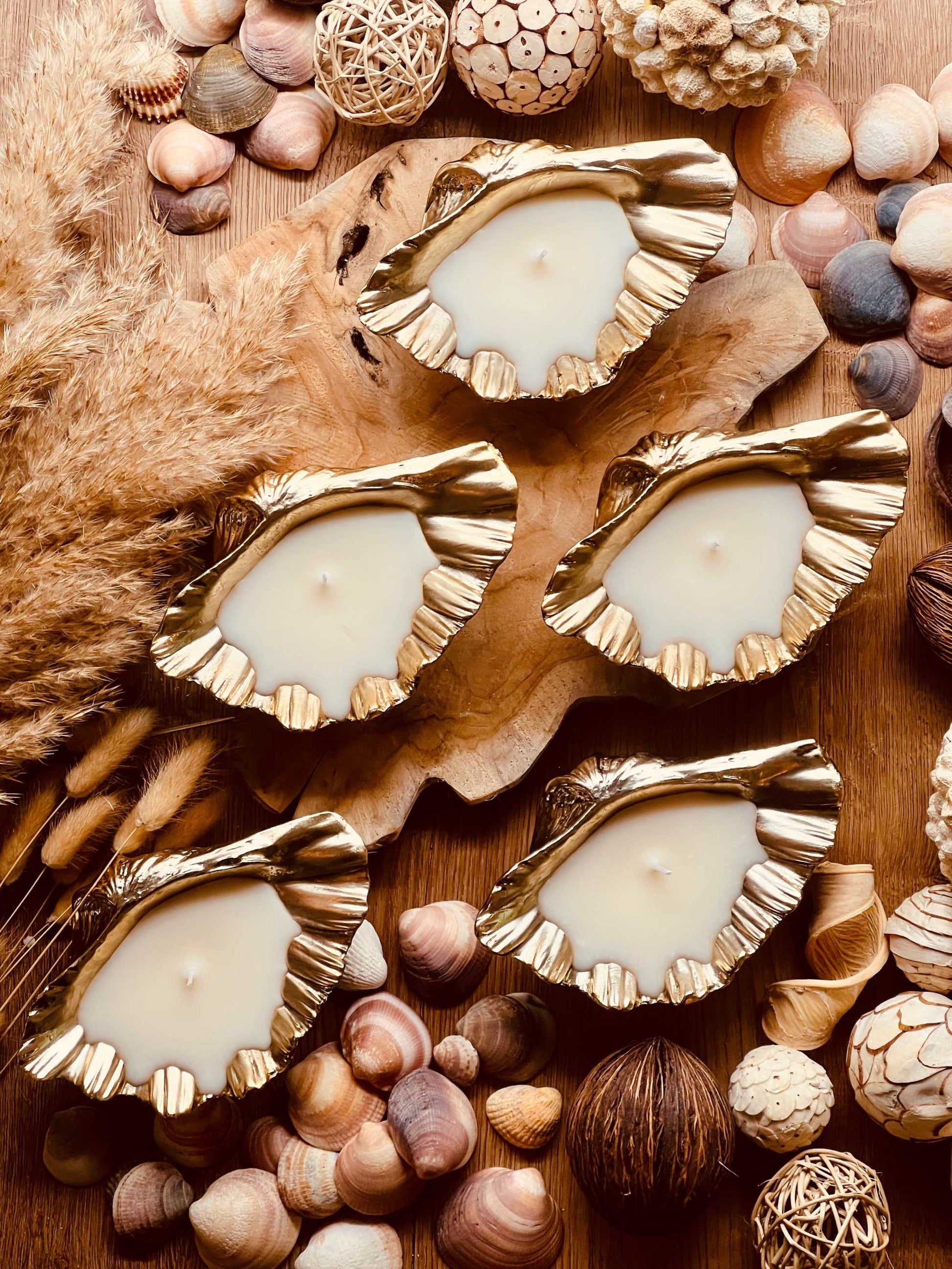 Duftkerze mit Kokosaroma in edler goldener Muschel aus Keramik – ideal als stilvolles Geschenk und eleganter Raumduft